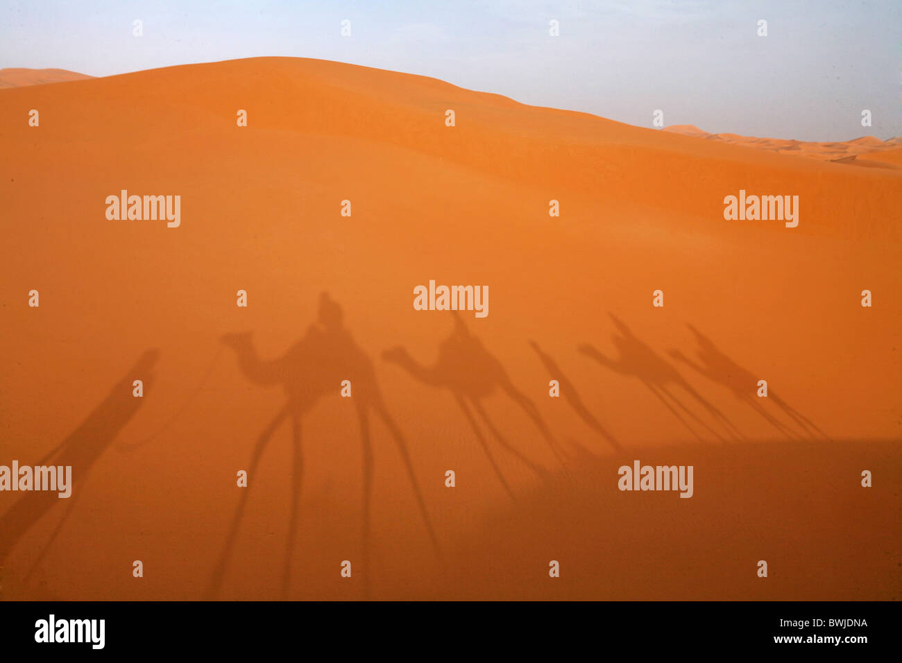 Jeter de l'ombre des tons sable silhouettes camel tour des dunes de sable du désert caravane chameaux Sahara Merzouga Marrokko Banque D'Images