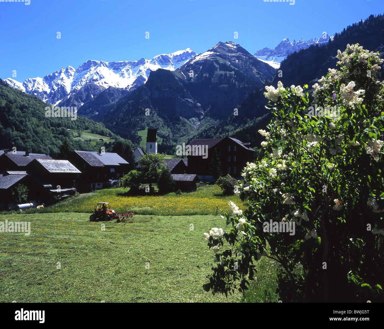 Tracteur coupe foin agriculture pré de l'Orme de montagne village village canton de Glaris Alpes montagnes ELAP Banque D'Images