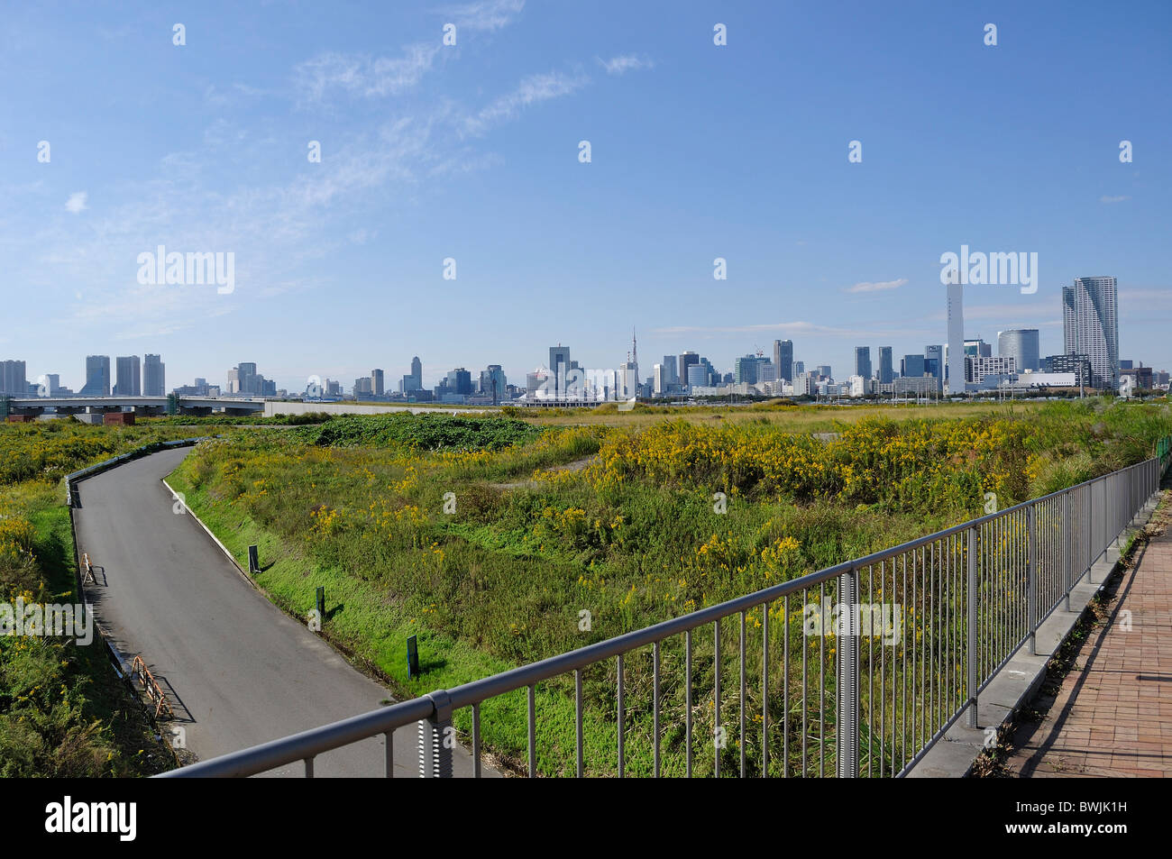 Deux chemins traversant et menant à une grande ville de la distance (une partie de l'horizon de Tokyo avec terrain vague verte en premier plan) Banque D'Images