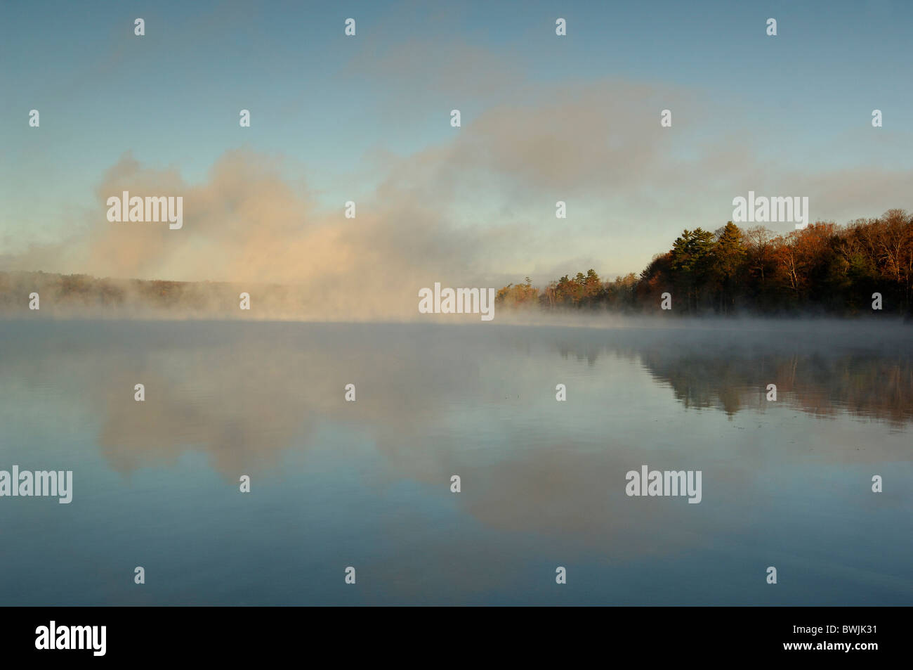 Paysage paysage paysage lac Laurel Lake Lac eau brouillard brouillard au sol en automne crépuscule crépuscule humeur matin Banque D'Images