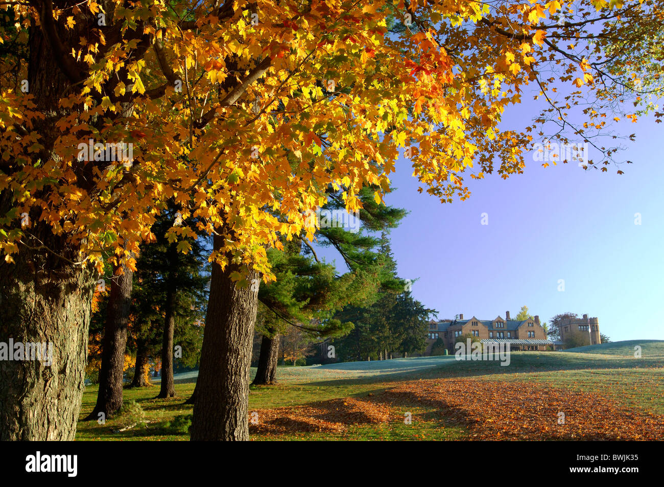 Site de golf golf complexe automne feuillage arbres hôtel golf sport Cranwell Resort spa lee Massachusetts Banque D'Images
