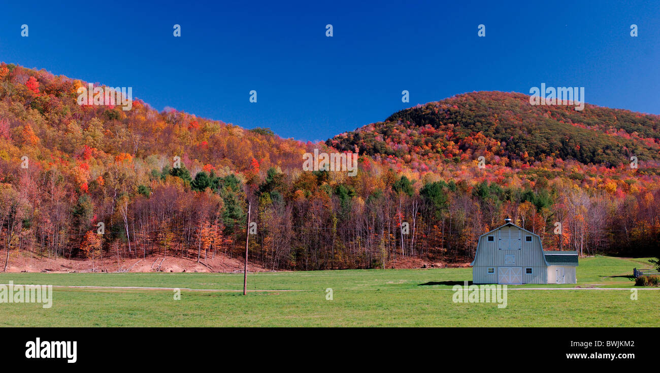 Panorama paysage paysage d'automne automne les mouches d'étable grange bois forêt Hill près de Pittsfield Massach Banque D'Images