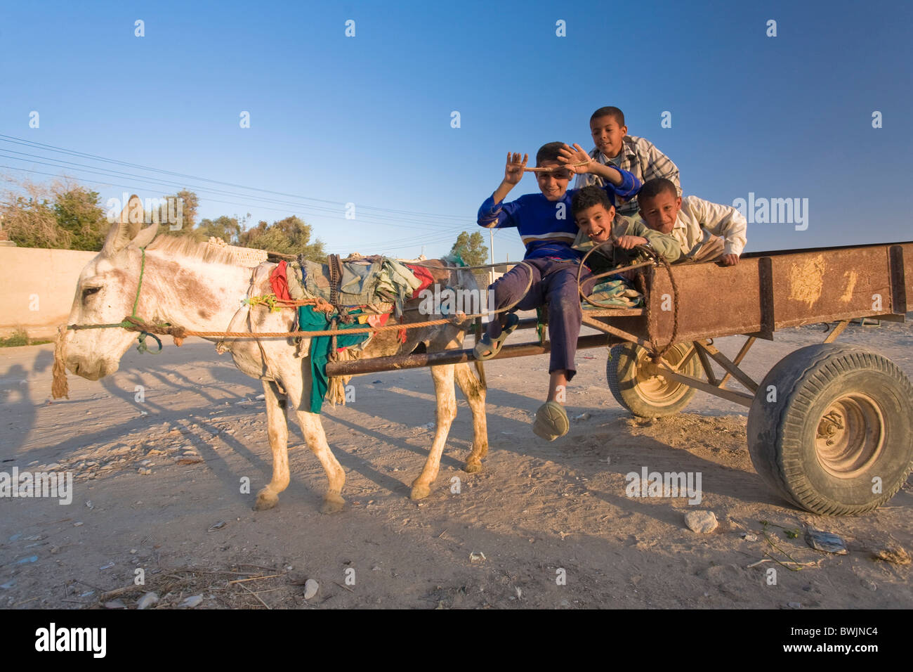 Les enfants, Qasr Al Farafra Oasis Farafra, Village, Egypte Banque D'Images