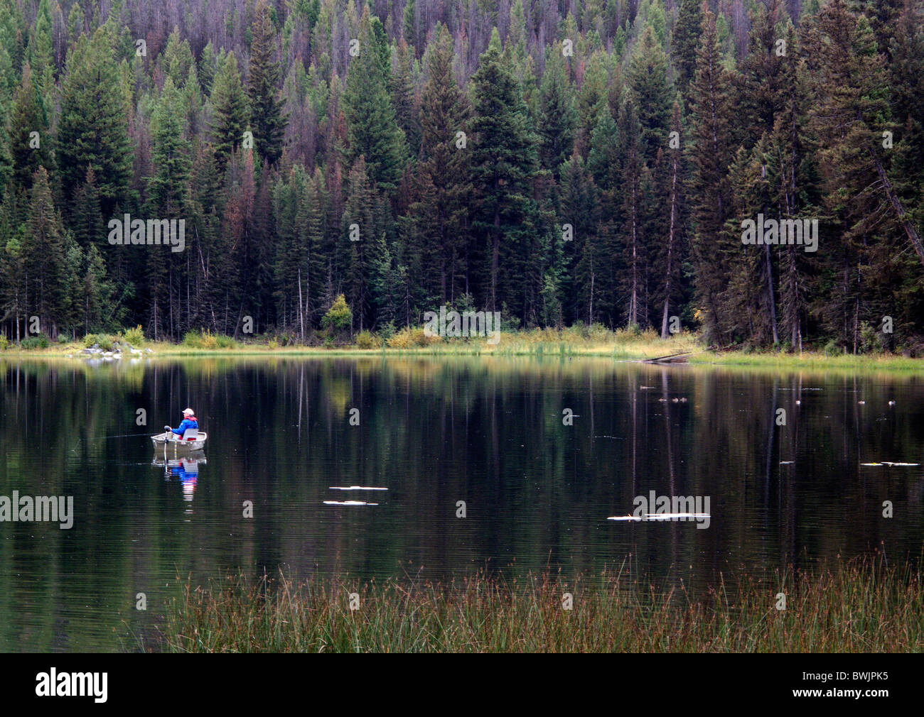 Un pêcheur dans un bateau sur un lac dans les montagnes Rocheuses canadiennes en Colombie-Britannique Banque D'Images
