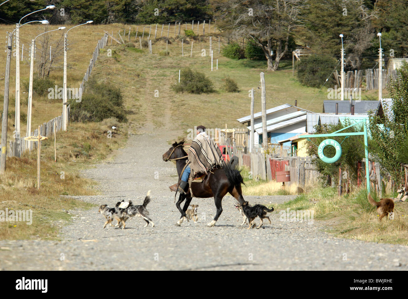 L'homme cheval Cavalier Gaucho chiens villa Cerro Castillo Andes Aisen Chili Patagonie Banque D'Images