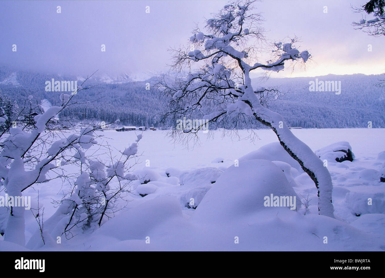 L'Europe, l'Allemagne, en Bavière, près de Grainau, couverte de neige sur les arbres gelés jusqu'à l'Eibsee Alpes bavaroises Banque D'Images