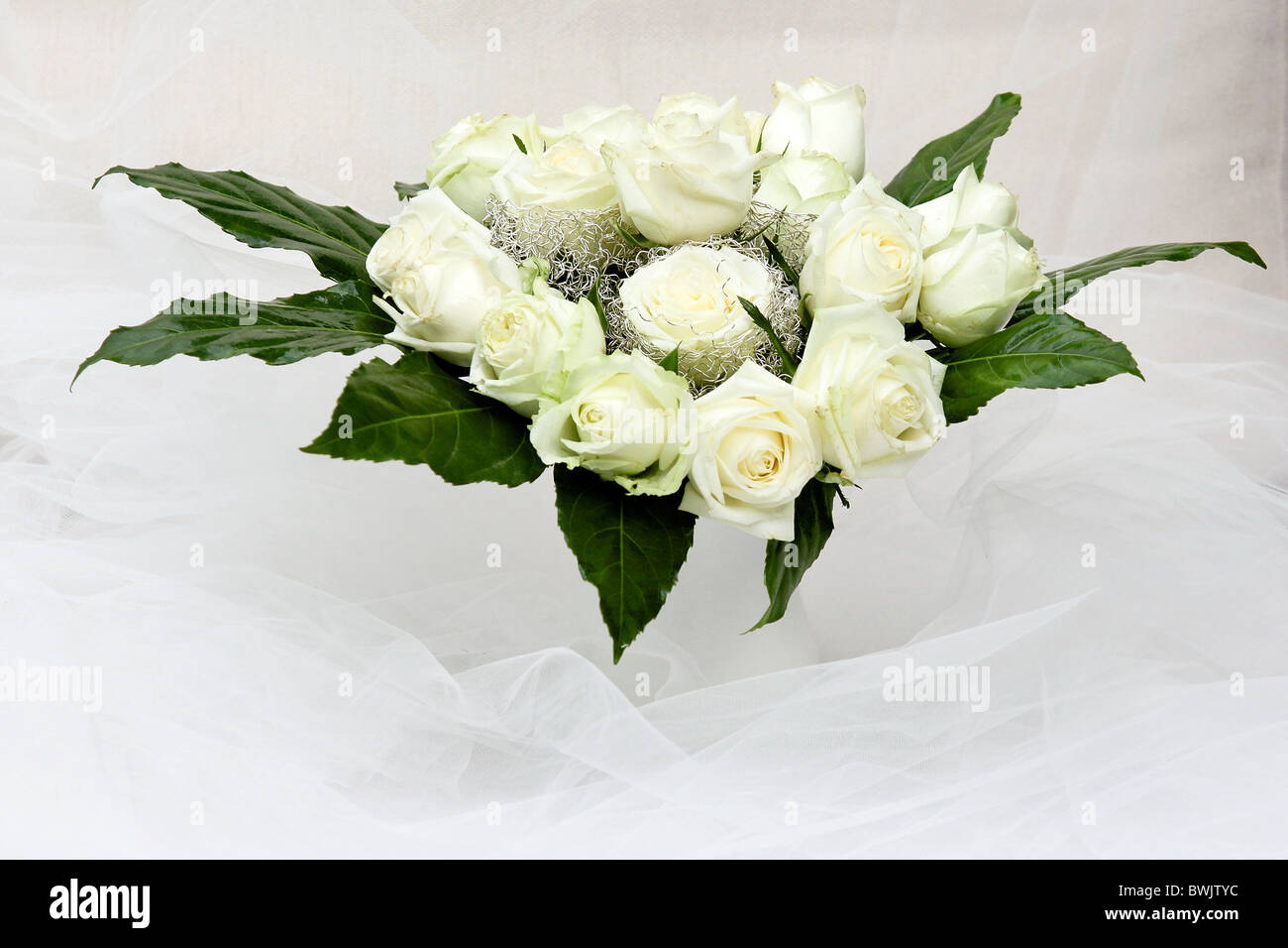 Arrangement de fleurs sur fond blanc Banque D'Images