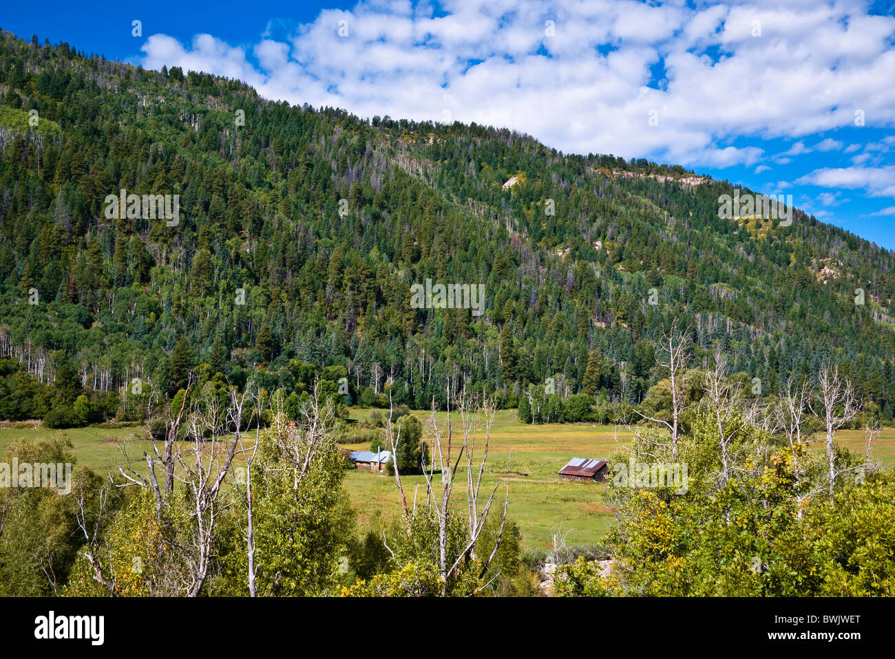 Ranch le long de la rivière Dolores, San Juan National Forest, Colorado Banque D'Images