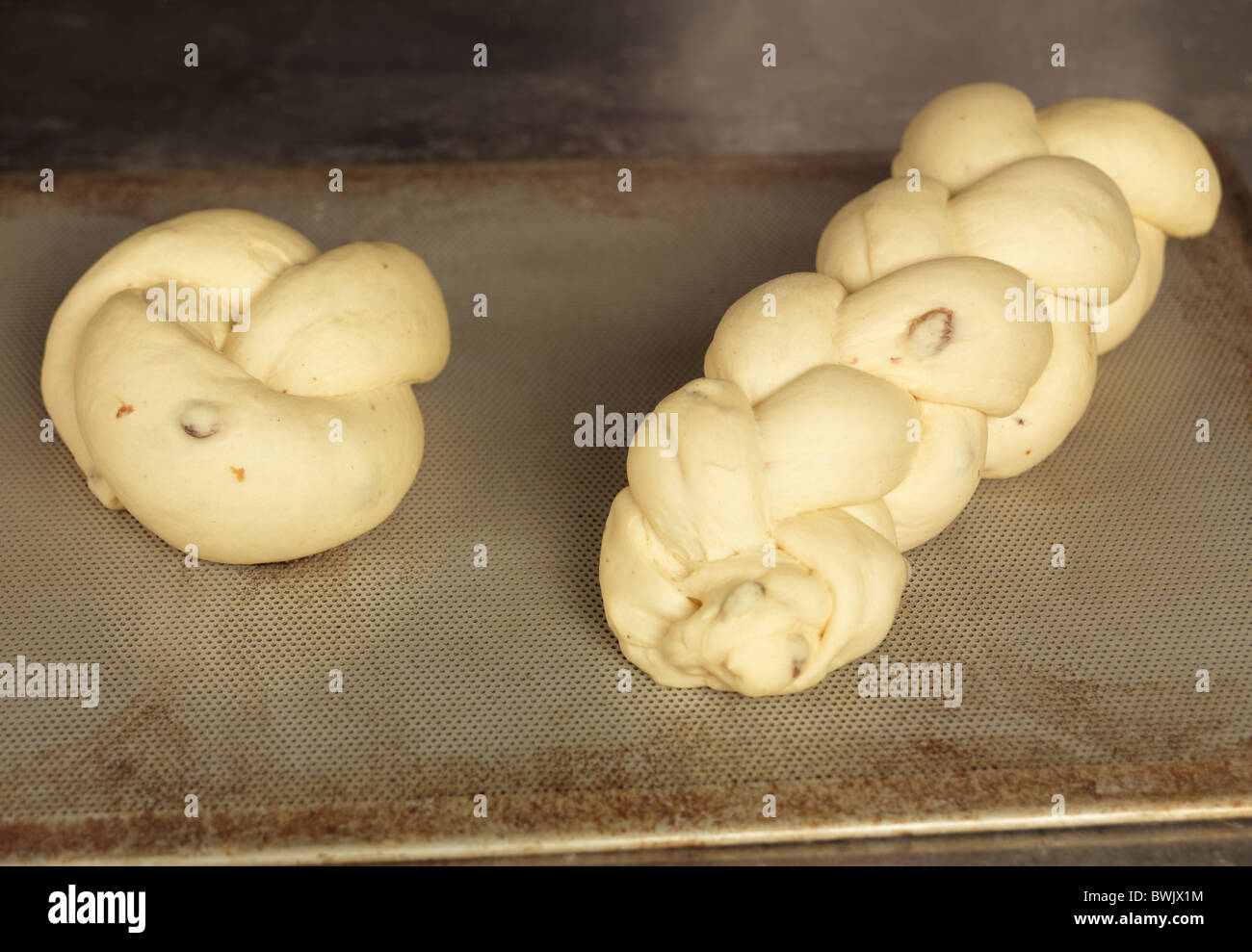 Libre de pain tressé challah augmenté de pâte sur une plaque à pâtisserie Banque D'Images