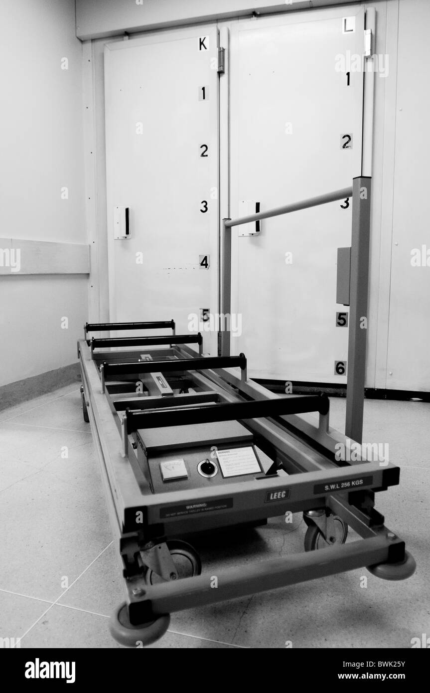 Morgue (Post Mortem) Images Banque D'Images