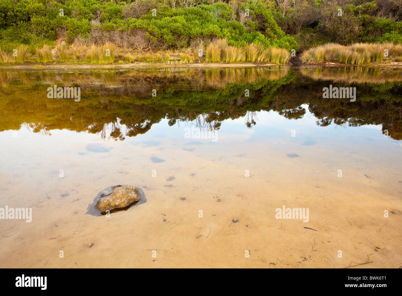 Tôt le matin les réflexions dans le lagon Lagune Plage, lagunes de chaîne au nord de Bicheno sur la côte est de Tasmanie Banque D'Images