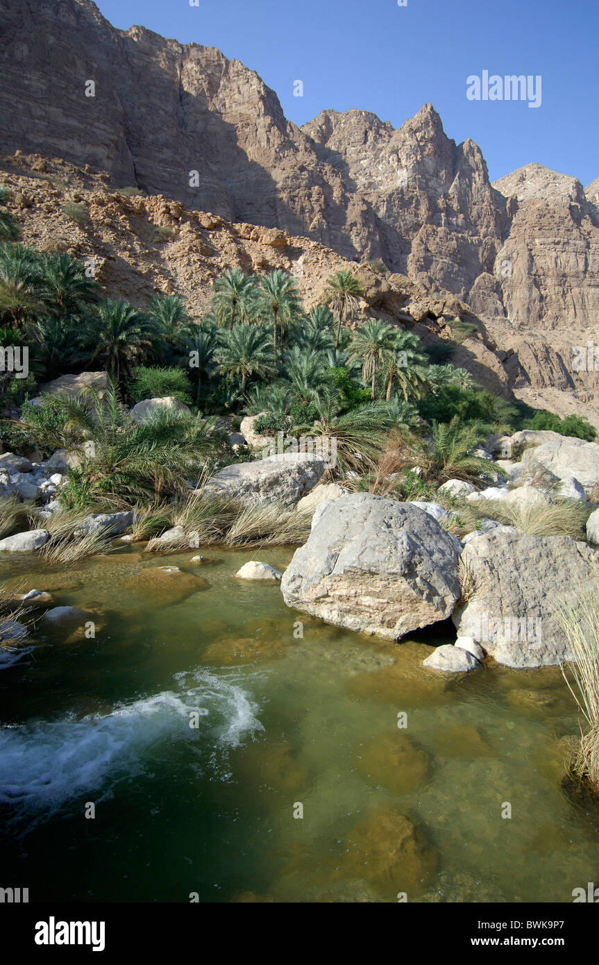 Gulch palms du débit des cours d'eau Ruisseau paysage paysage désert oasis roches falaises cliffs mountain vues Banque D'Images