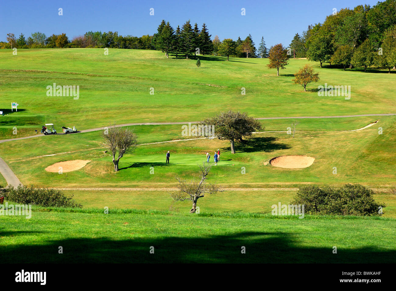 Golfe Bluenose golf Club Golf sport verte motifs Lunenburg en Nouvelle-Écosse Canada maritime Banque D'Images