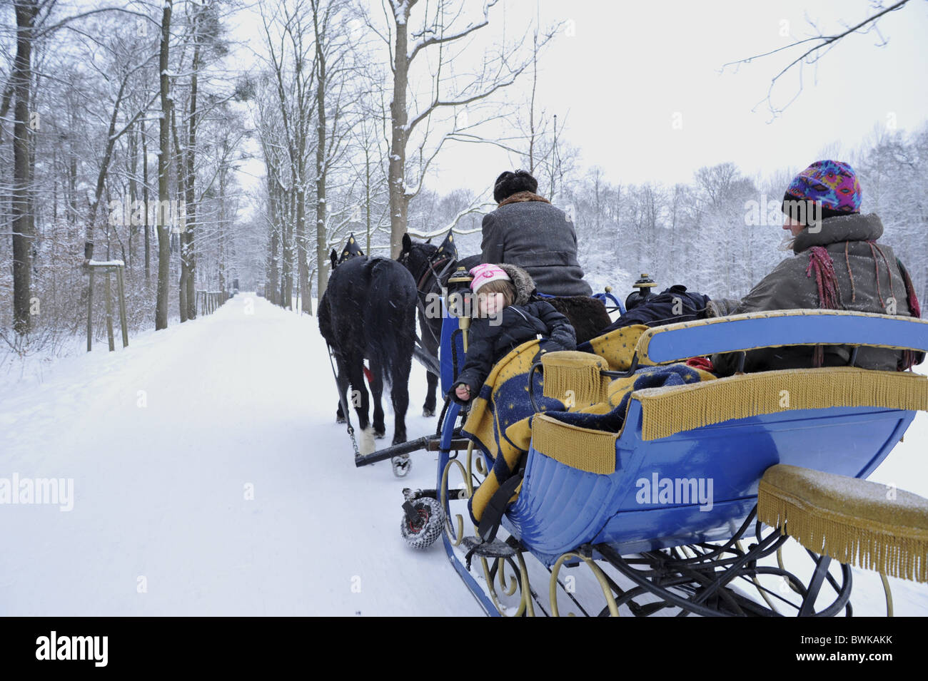 Traîneau tiré par des chevaux Banque de photographies et d’images à haute résolution Alamy