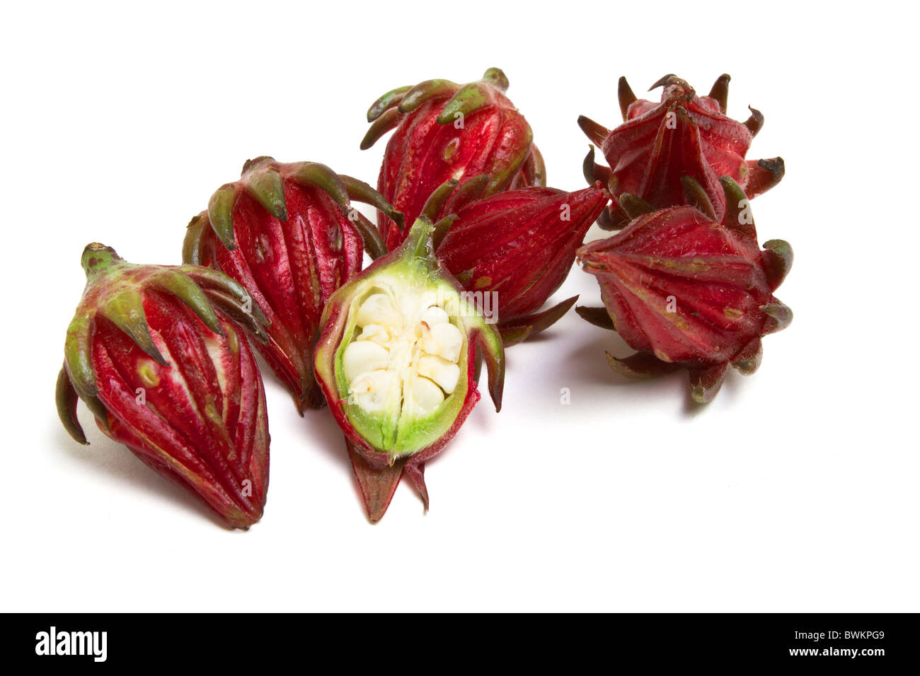 De l'iun Rosella Hibiscus famille utilisé dans la cuisine asiatique pour faire des marinades isolé sur blanc. Banque D'Images