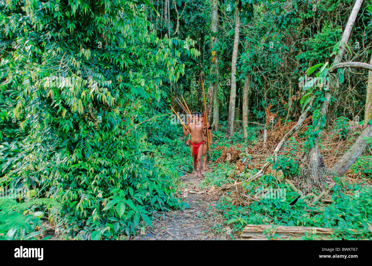 Venezuela Amérique du Sud Tribu Yanomami Ironavi Indios Flèche Bow Hunter Homme Hommes Archers Chasse Archer Hun Banque D'Images