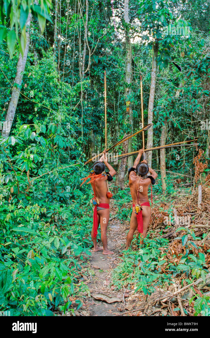 Venezuela Amérique du Sud Tribu Yanomami Ironavi Indios Flèche Bow Hunter Homme Hommes Archers Chasse Archer Hun Banque D'Images