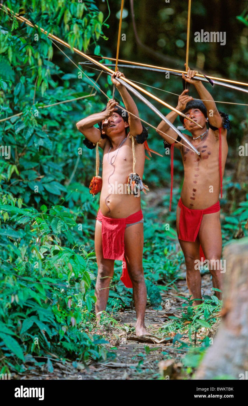 Venezuela Amérique du Sud Tribu Yanomami Ironavi Indios Flèche Bow Hunter Homme Hommes Archers Chasse Archer Hun Banque D'Images