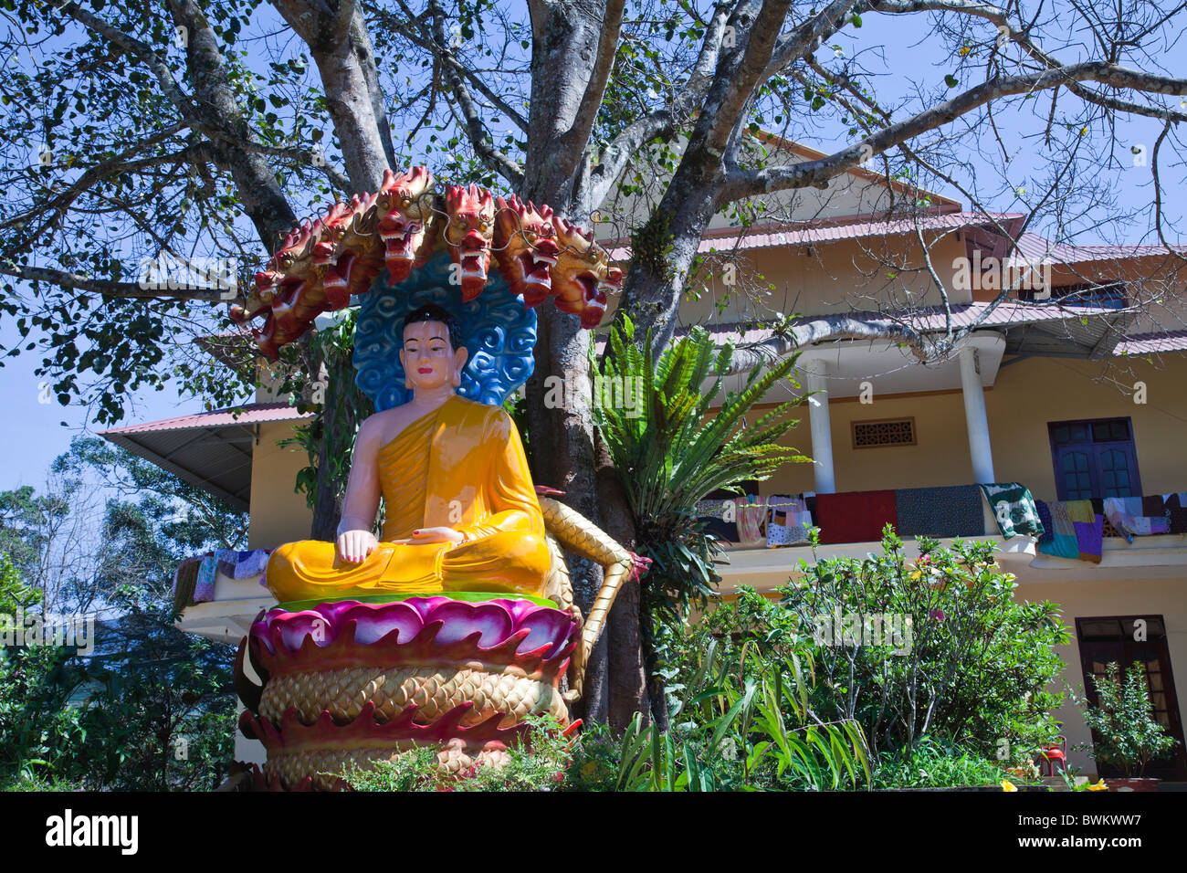 La Pagode Ngoc Thien célèbre temple bouddhiste de style des jardins avec statue de Bouddha sous l'arbre Bo sainte Dalat Banque D'Images