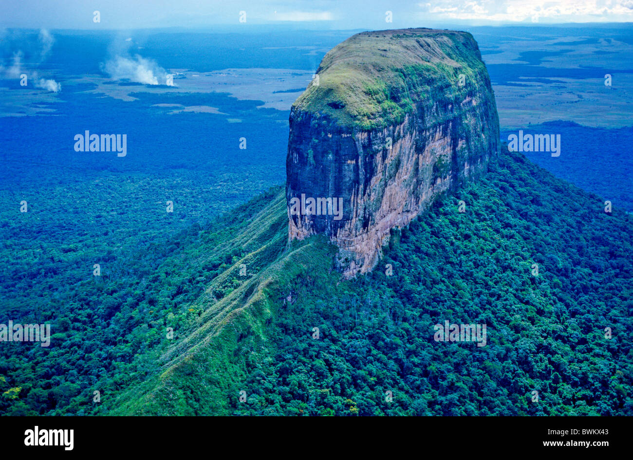 Venezuela Amérique du Sud Tepui Table Mountain Paysage Forêt Parc national Canaima Guayana Amérique du Sud æ Banque D'Images