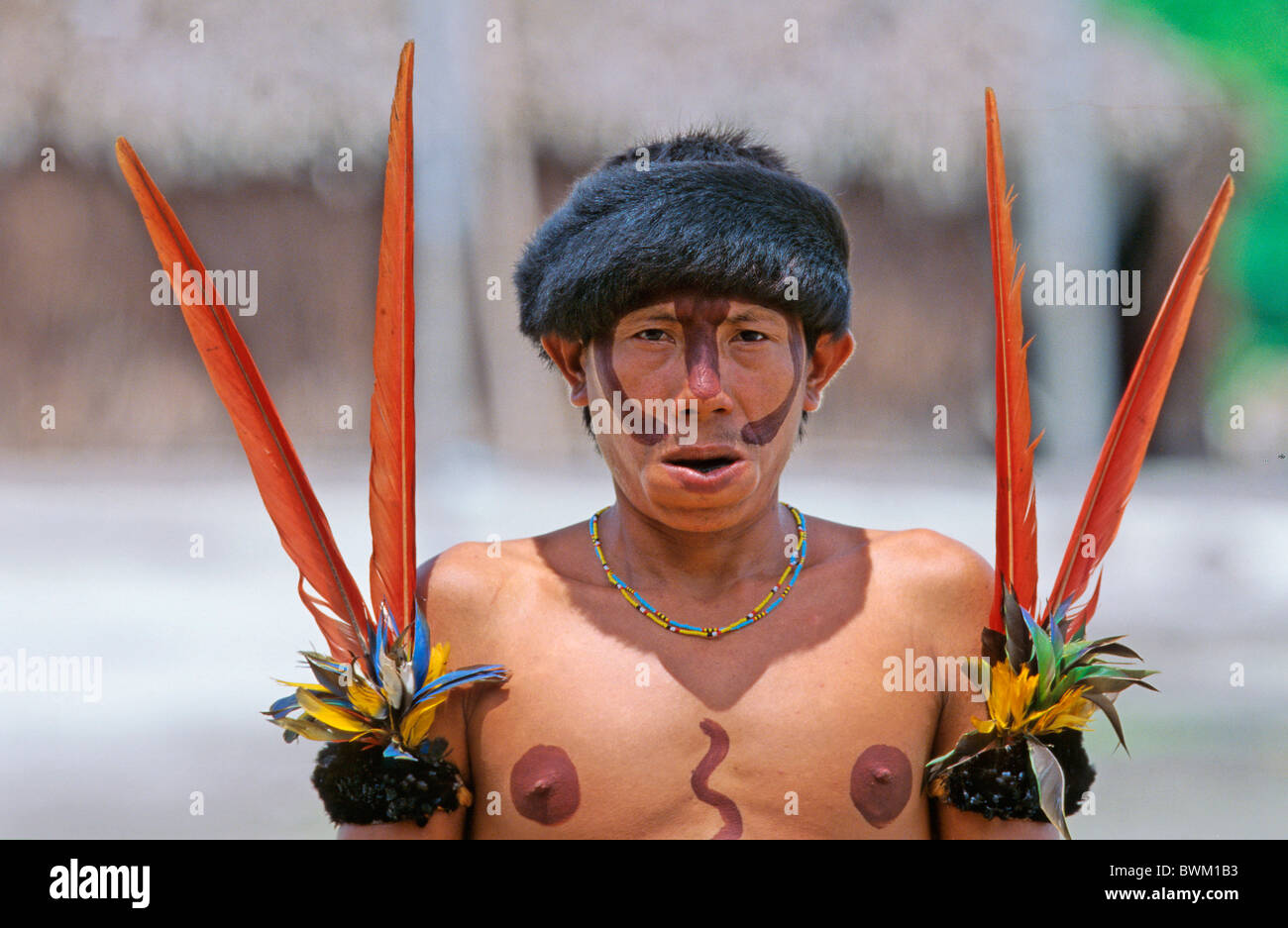 Venezuela Amérique du Sud Indios Tribu Yanomami Ironavi les populations autochtones Indiens autochtones Native man Chewing-T Banque D'Images