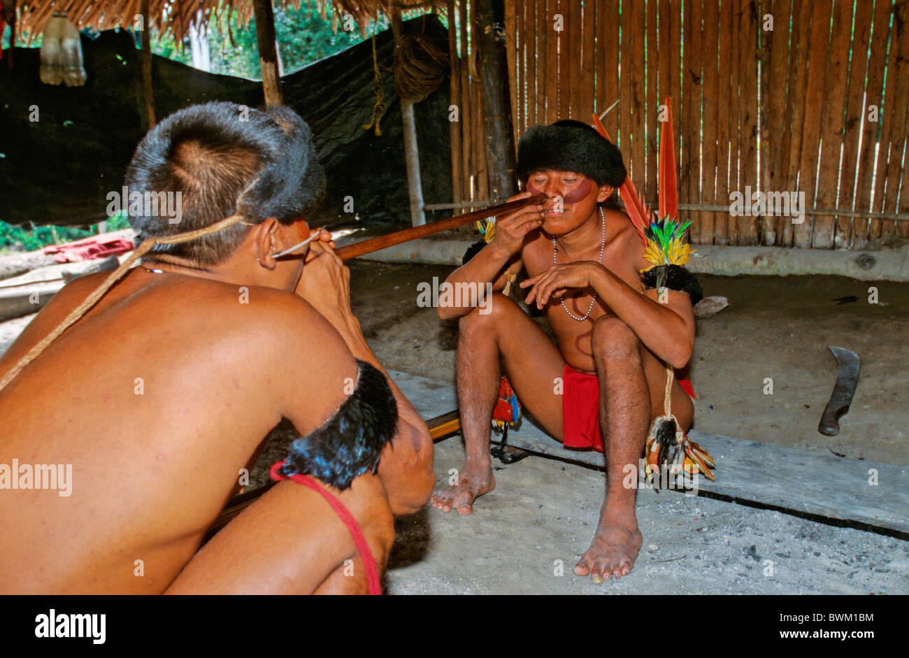 Venezuela Amérique du Sud Indios Tribu Yanomami Ironavi les populations autochtones Indiens autochtones indigènes n'rituel Yopo Banque D'Images