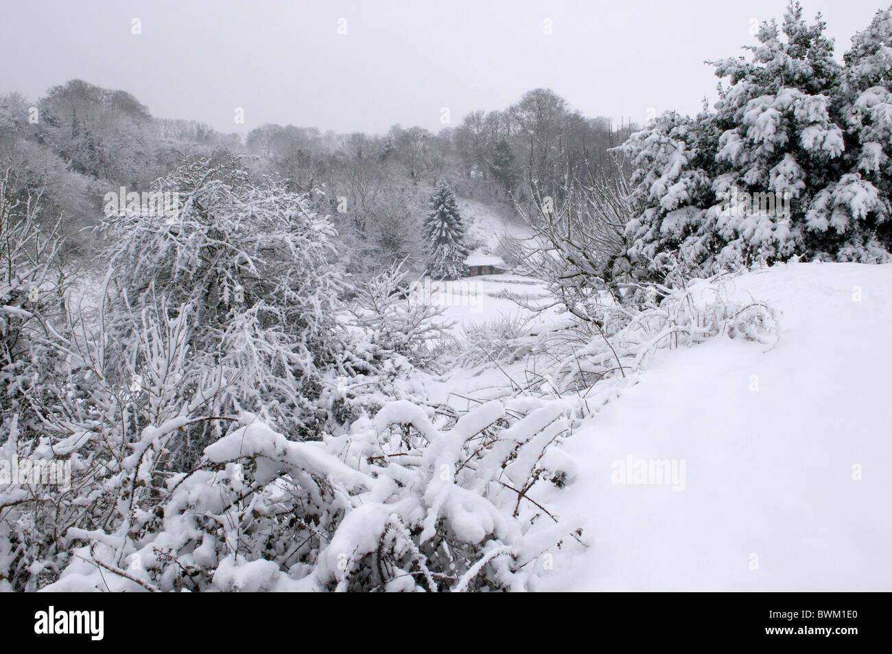 Paysage d'hiver après une importante chute de neige, Wiltshire, Royaume-Uni Banque D'Images