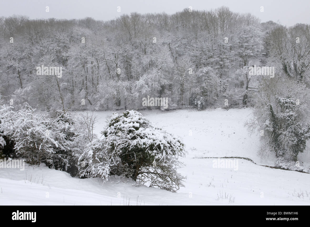 Paysage d'hiver après une importante chute de neige, Wiltshire, Royaume-Uni Banque D'Images