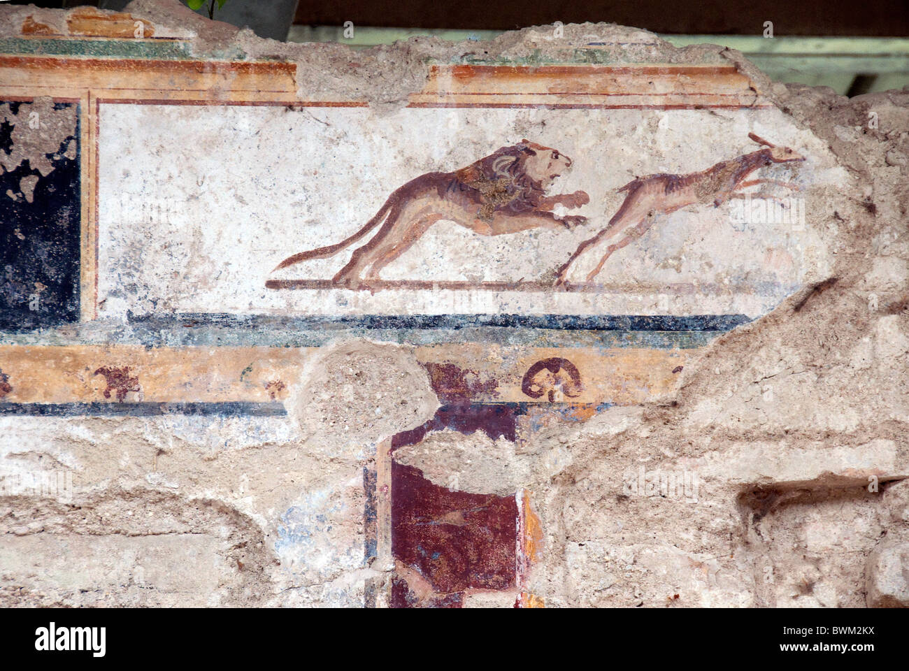 Ancient roman fresque sur un mur de la fouille archéologique à l'Urbs Salvia, Le Marches, Italie Banque D'Images