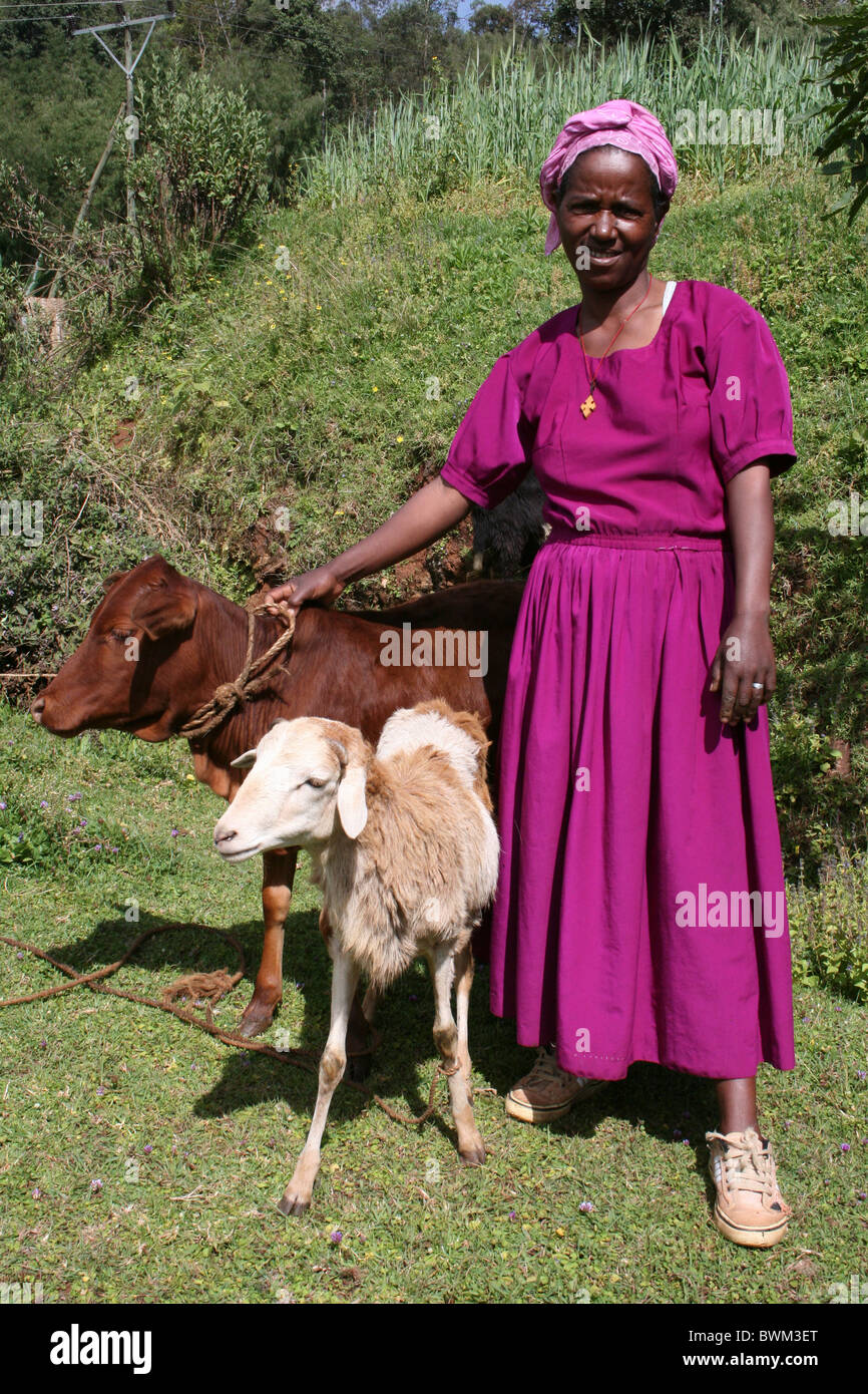 Femme Dorze avec sa vache et moutons. Pris dans Chencha, vallée de l'Omo, Ethiopie Banque D'Images