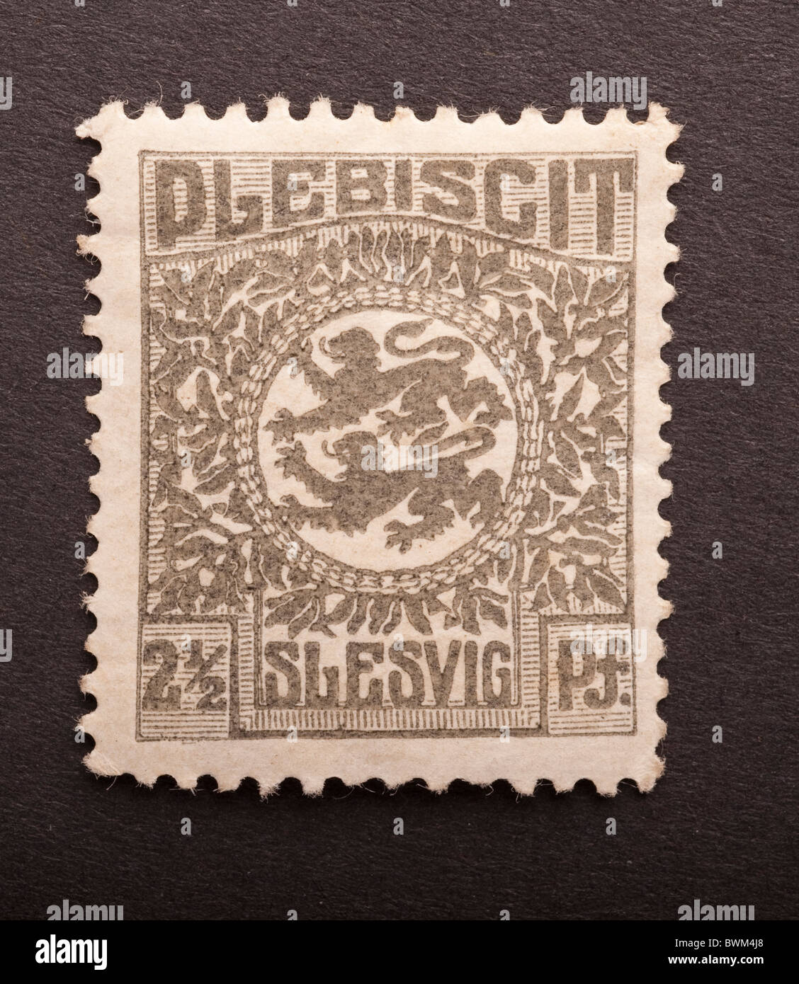 Prophila Collection Schleswig (Vote) 2 Neuf avec Gomme Originale ** MNH 1920 Crest (Timbres pour Les collectionneurs) Drapeaux/Armoiries/Cartes Prophila Collection Schleswig (Vote) 2 Neuf avec Gomme Originale ** MNH 1920 Crest (Timbres pour Les collectionneurs) Drapeaux/Armoiries/Cartes