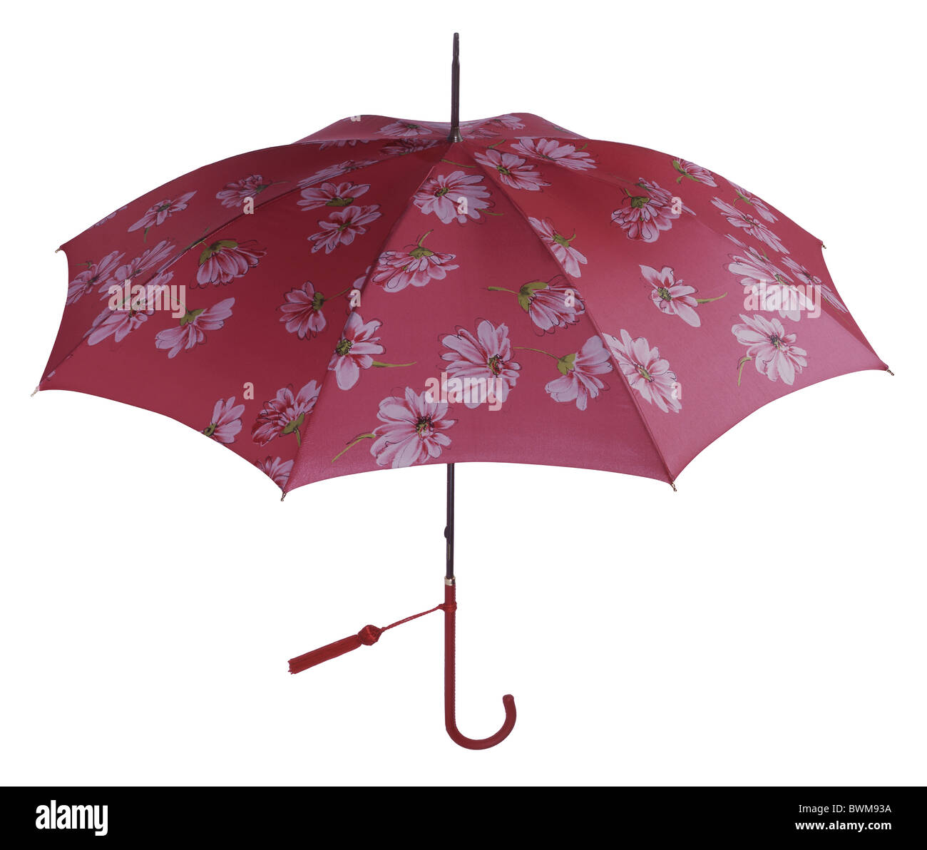 Parapluie fleuri pour femmes Banque D'Images