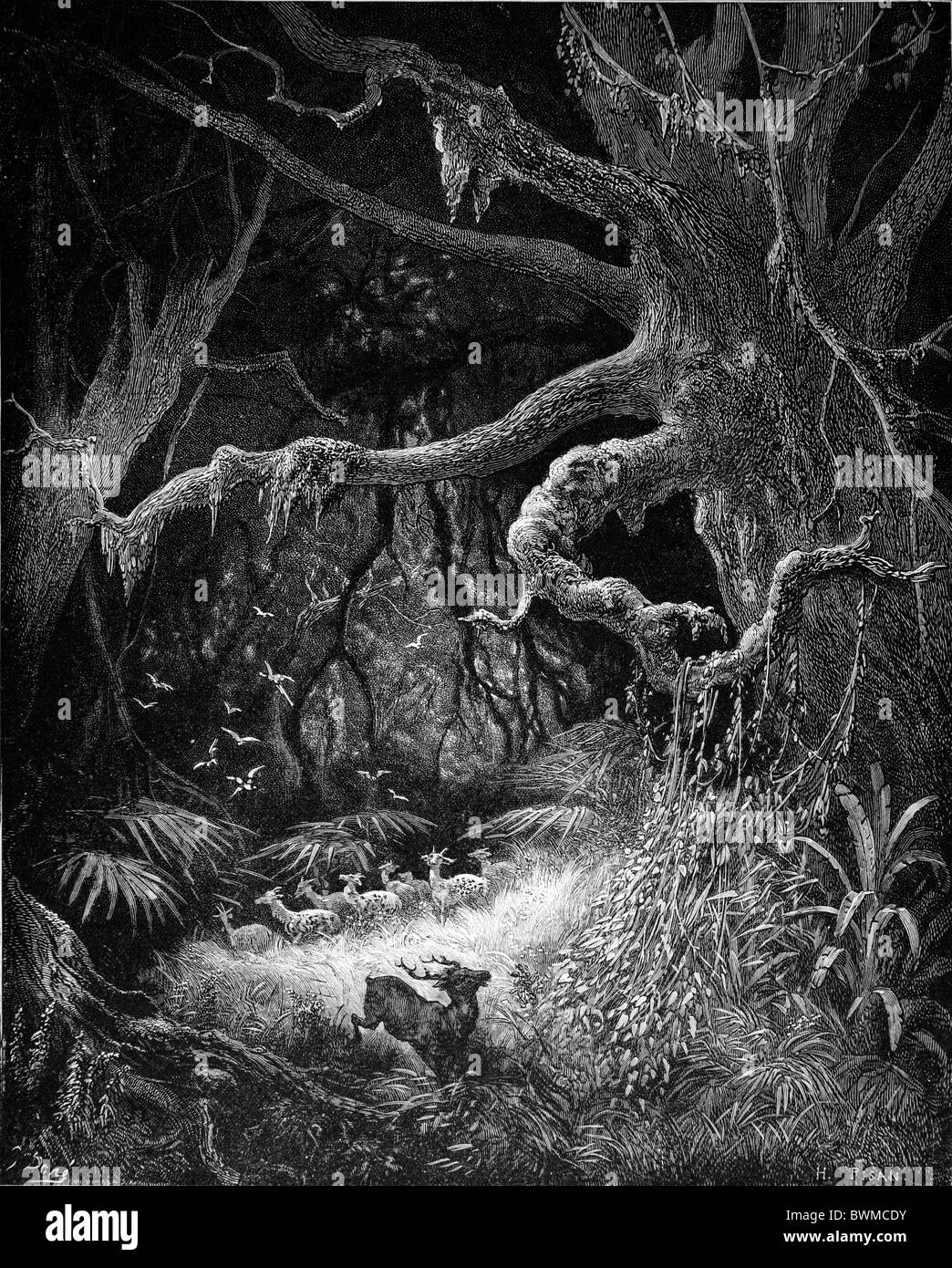 Gustave Doré ; noir et blanc ; les forêts de gravure sur les rives de la rivière Mississippi Banque D'Images