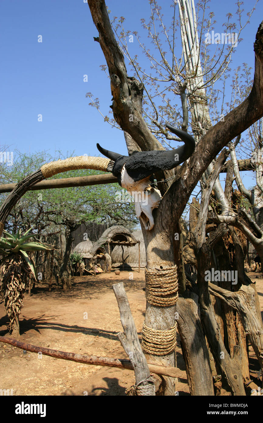 Shakaland Zulu Village, Vallée Nkwalini, Kwazulu Natal, Afrique du Sud. Banque D'Images