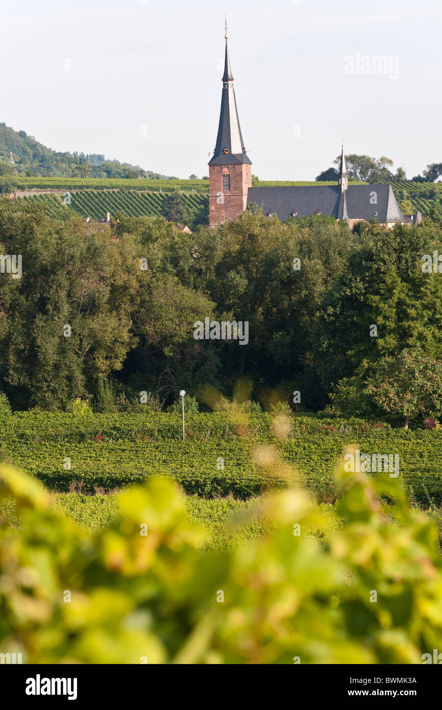 DEIDESHEIM, ROUTE DES VINS, Palatinat, Rhénanie-Palatinat, Allemagne Banque D'Images