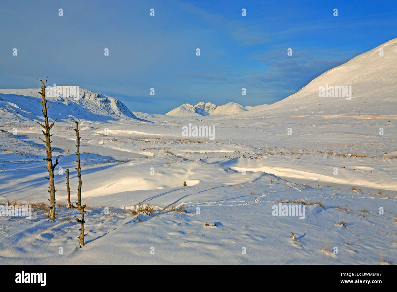 UK Ecosse Highland Wester Ross-shire de l'hiver et la montagne d'un Teallach Banque D'Images