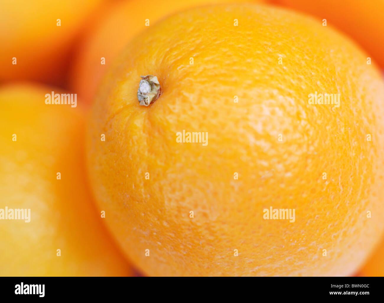 Close-up des Oranges Banque D'Images