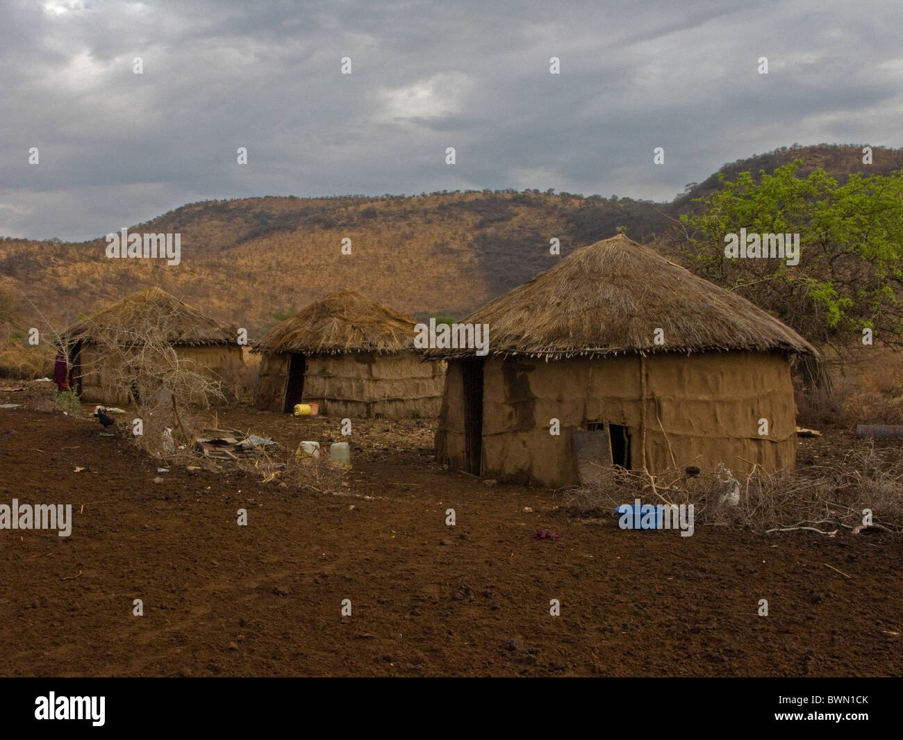 La boue Masai traditionnelle et de chaume huts en Tanzanie. Banque D'Images