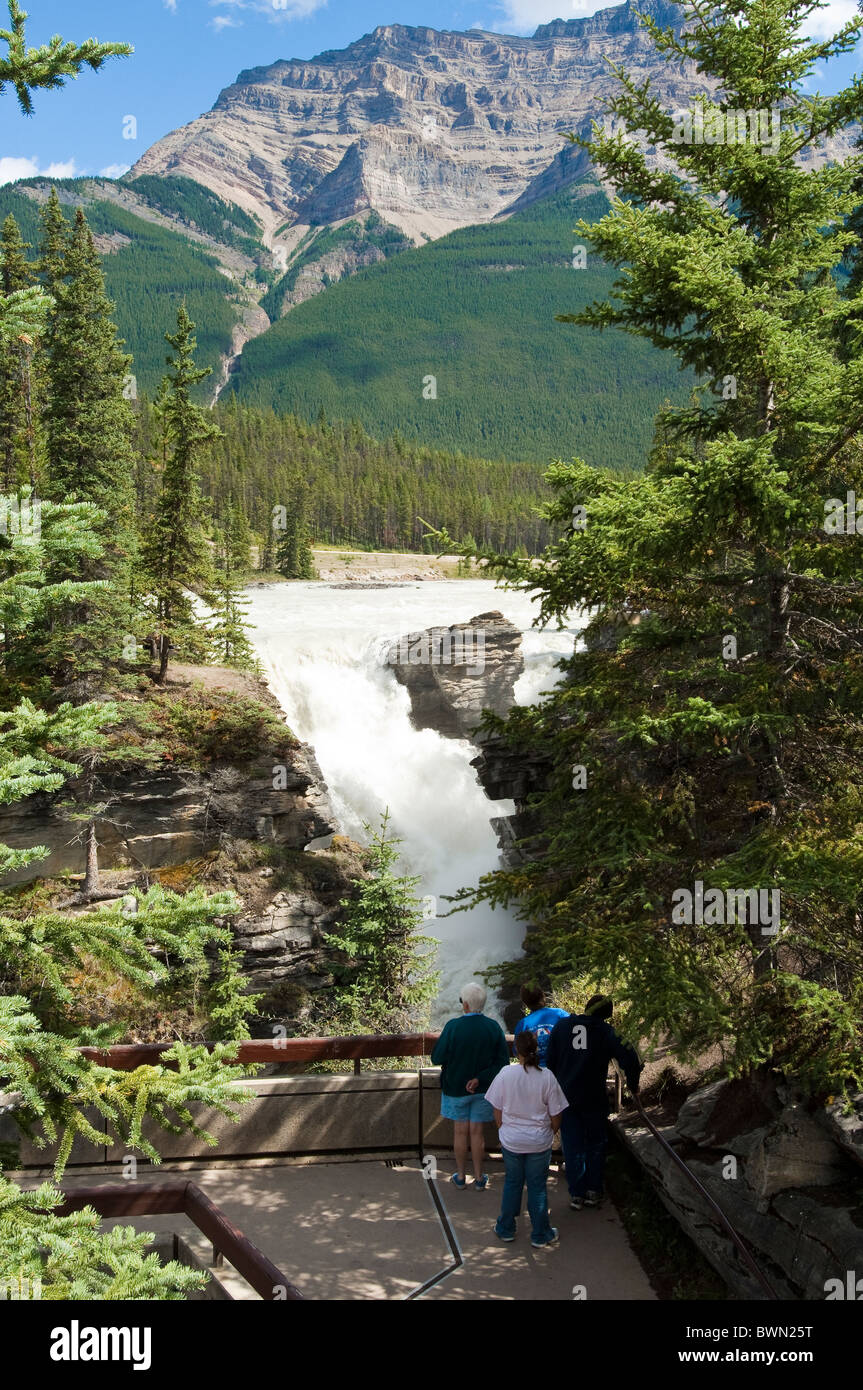 Les chutes Athabasca, Jasper National Park, Alberta, Canada. Banque D'Images