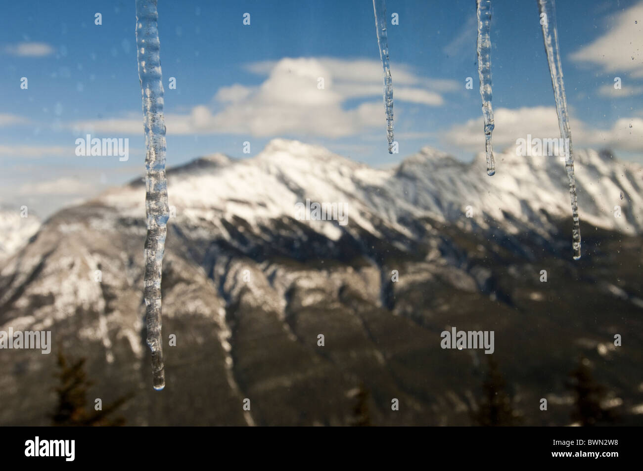 Glaces et rocheuses sur le mont Sulphur, Banff (Alberta), Canada. Banque D'Images