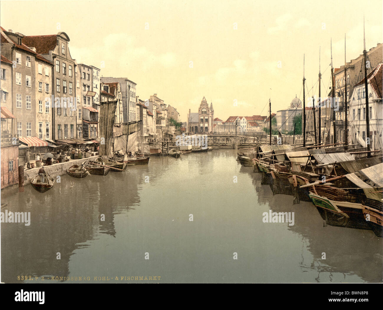 Konigsberg Kaliningrad Oblast de la Prusse de l'ancien Empire Allemand Allemagne Europe histoire Photochrom vers 1900 Banque D'Images