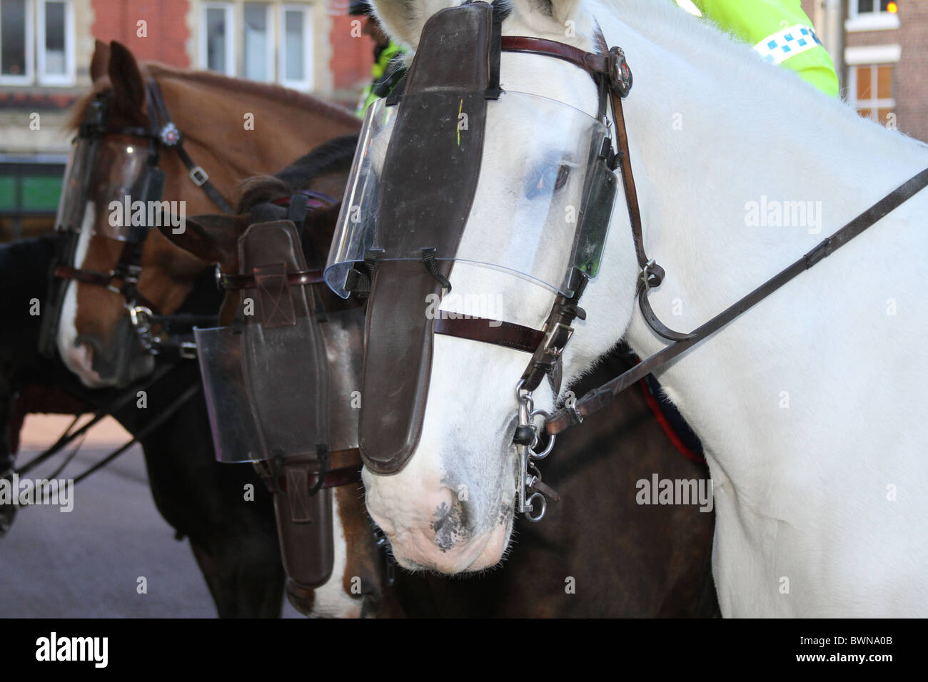 Les chevaux de la Police montée en tenue de combat lors de manifestations dans le centre-ville de Preston sur Samedi 27 novembre 2010, Royaume-Uni Banque D'Images