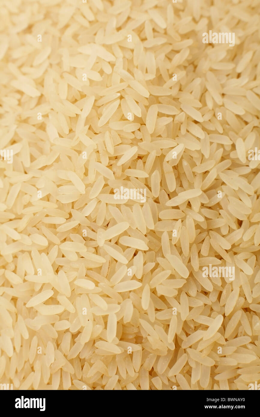 Faire cuire le riz blanc ordinaire facile Banque D'Images
