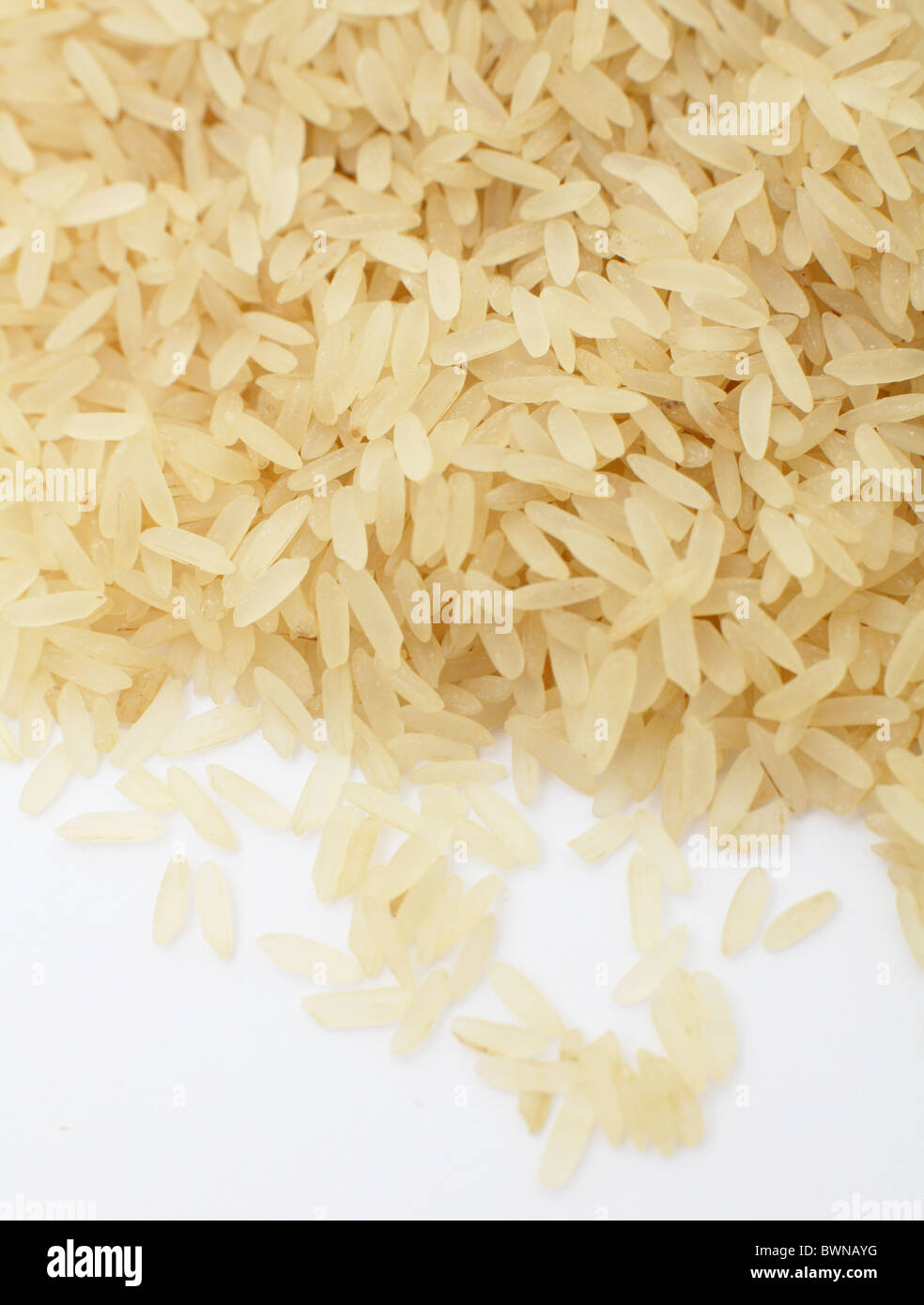 Faire cuire le riz blanc ordinaire facile Banque D'Images