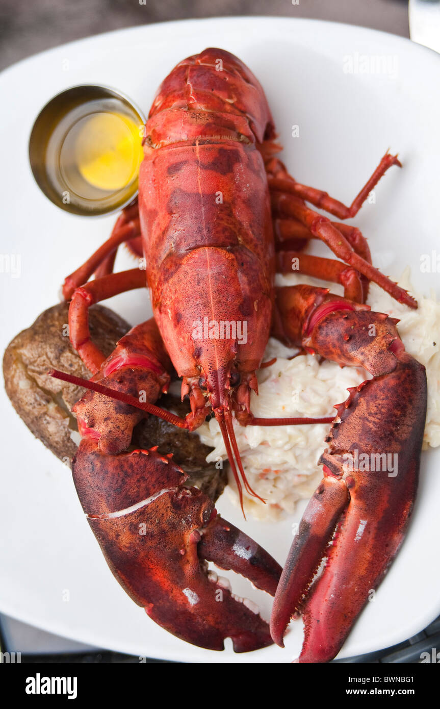 Plat de homard et de fruits de mer cuisine, Fredericton, Nouveau-Brunswick, les maritimes, canada Banque D'Images