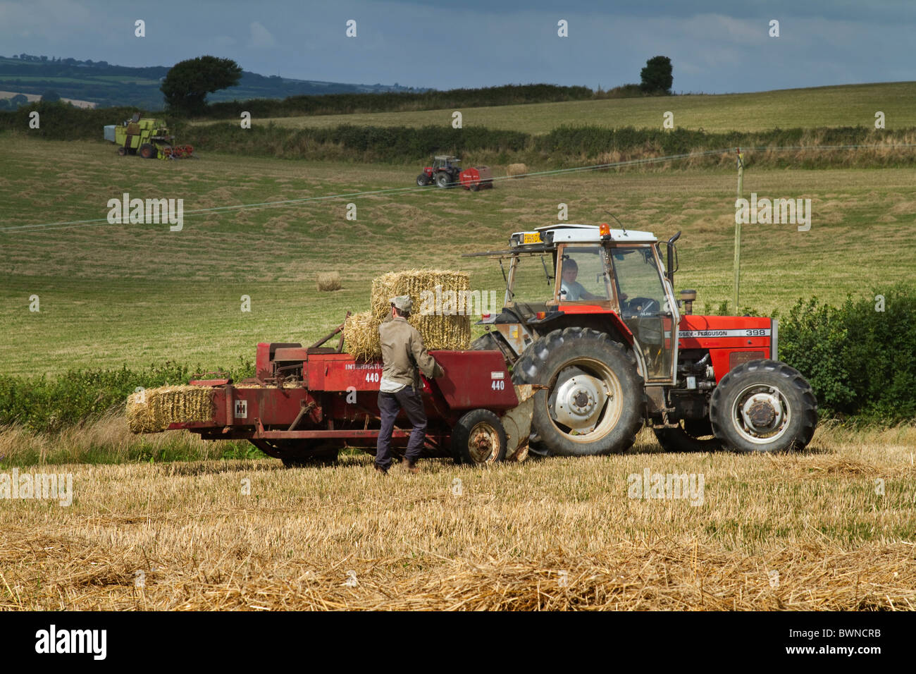 Pressage de paille à l'aide de petites balles de balle, Devon UK Banque D'Images