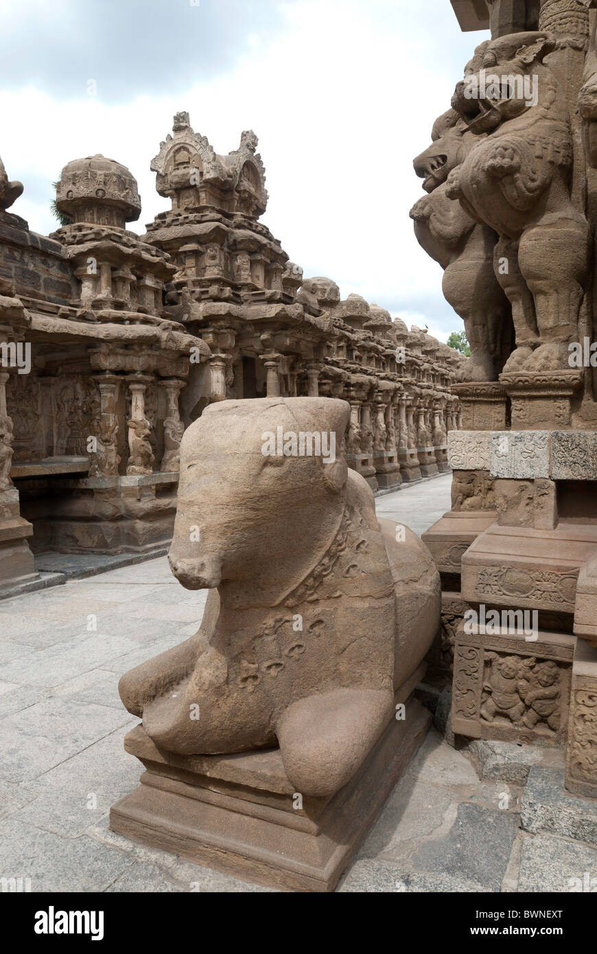 Le Kailasanatha temple a été construit par les Pallavas au début du viiie siècle de notre ère. à kancheepuram ;Kanchipuram, Tamil Nadu, Inde. Banque D'Images