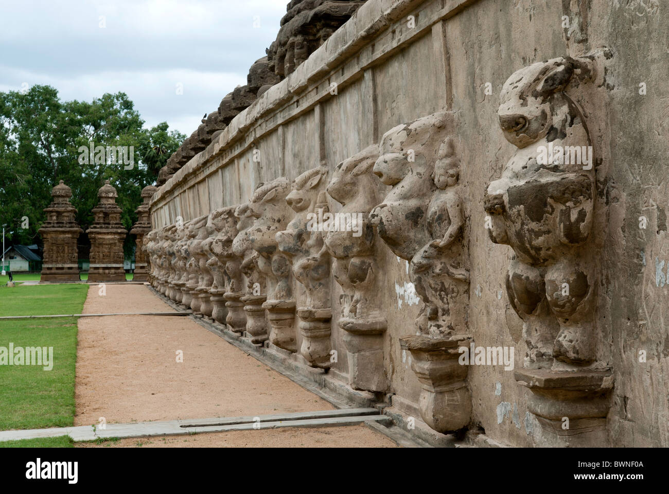Le Kailasanatha temple a été construit par les Pallavas au début du viiie siècle de notre ère. à kancheepuram ;Kanchipuram, Tamil Nadu, Inde. Banque D'Images