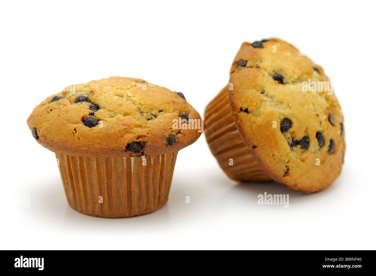 Muffins au chocolat (puce) Banque D'Images