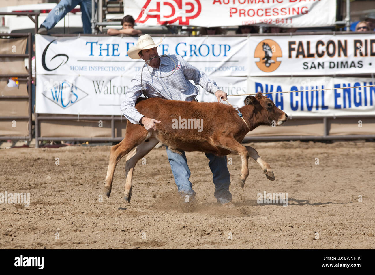 Cowboy non identifiés en concurrence dans le cas de cordage d'arrimage au San Dimas Rodeo le 2 octobre 2010 à San Dimas, CA. Banque D'Images